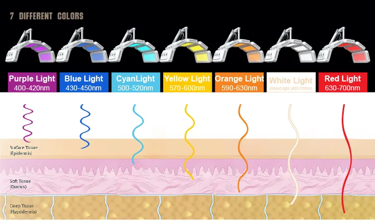 LED Facial Light Infrarosso LED Terapia PDT LED Professionale Macchina Bio Fotomodulazione LED Light Fototerapia 2